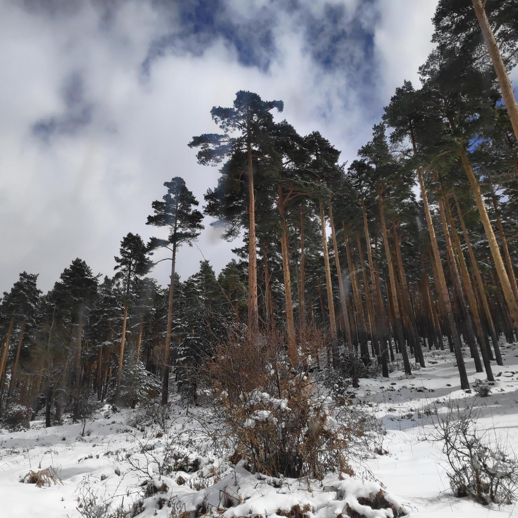 Las Encarnas Braojos de la Sierra Exteriör bild